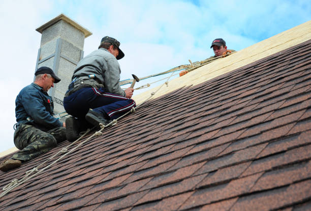Quick and Trustworthy Emergency Roof Repair Services in Roy, UT